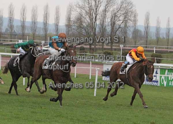 Loewengang Vogt S 1 prot